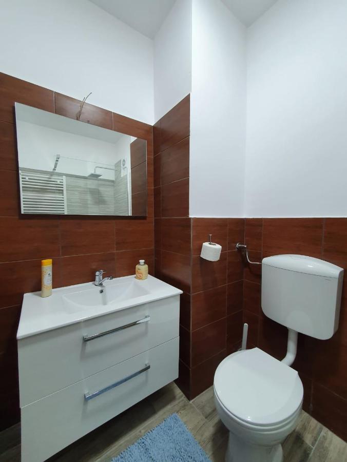 Petrosani Camere De Inchiriat - Hotel Petroshani Srl المظهر الخارجي الصورة