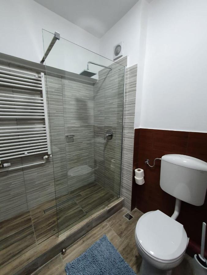 Petrosani Camere De Inchiriat - Hotel Petroshani Srl المظهر الخارجي الصورة