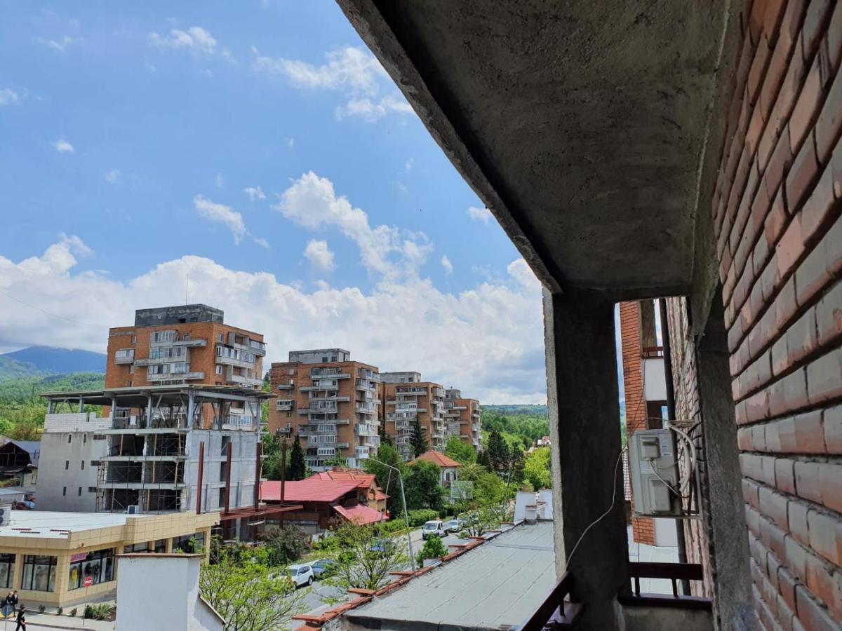 Petrosani Camere De Inchiriat - Hotel Petroshani Srl المظهر الخارجي الصورة